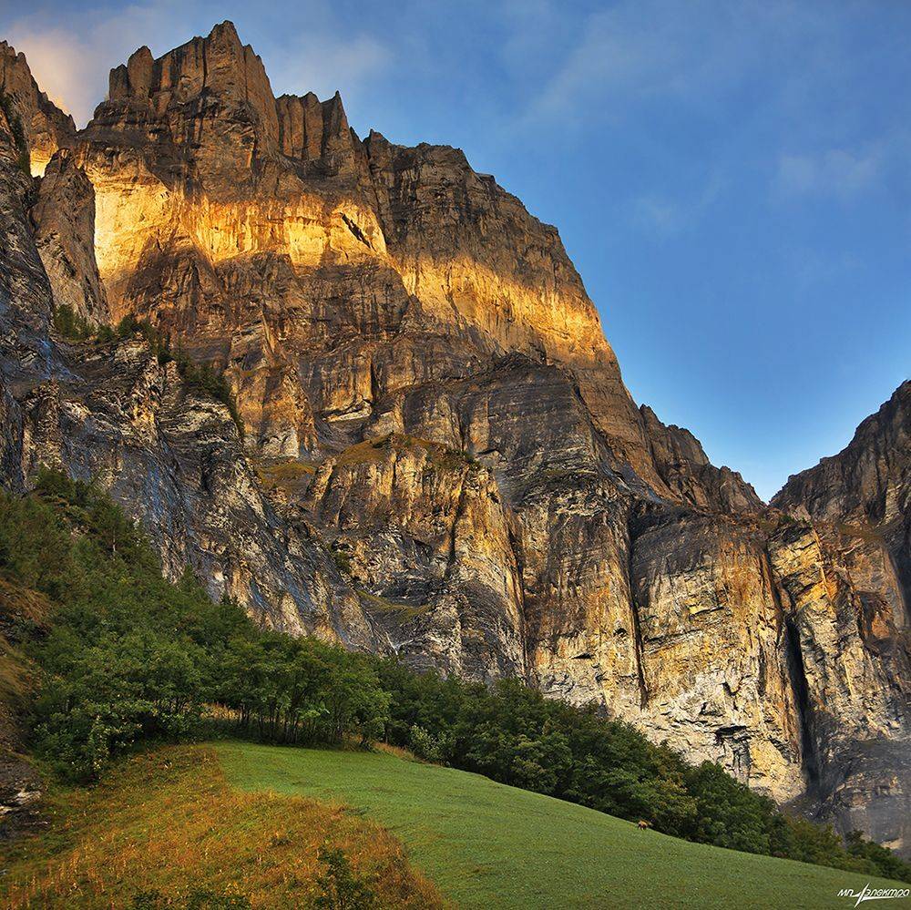 swiss, Матвеев Николай