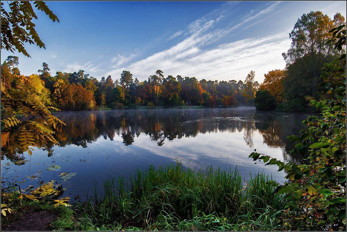 москва, осень, озеро, лес, отражение, АНАТОЛИЙ ДОВЫДЕНКО