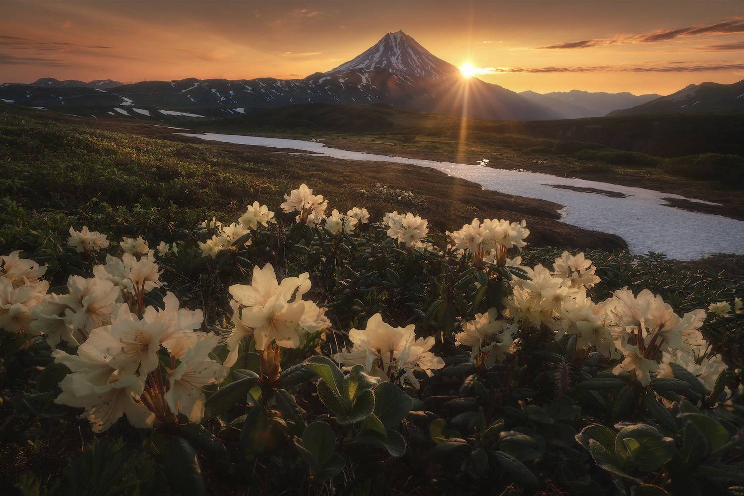 камчатка, Владимир Ляпин