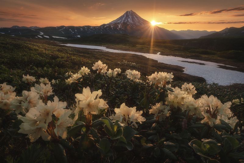 Камчатский рассвет фото превью