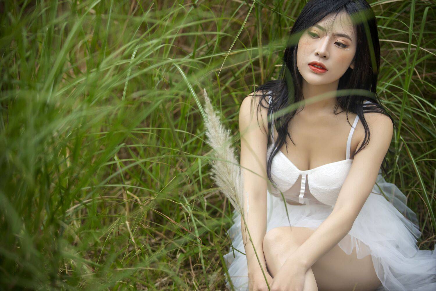 , Nguyễn Ho&agrave;ng Long