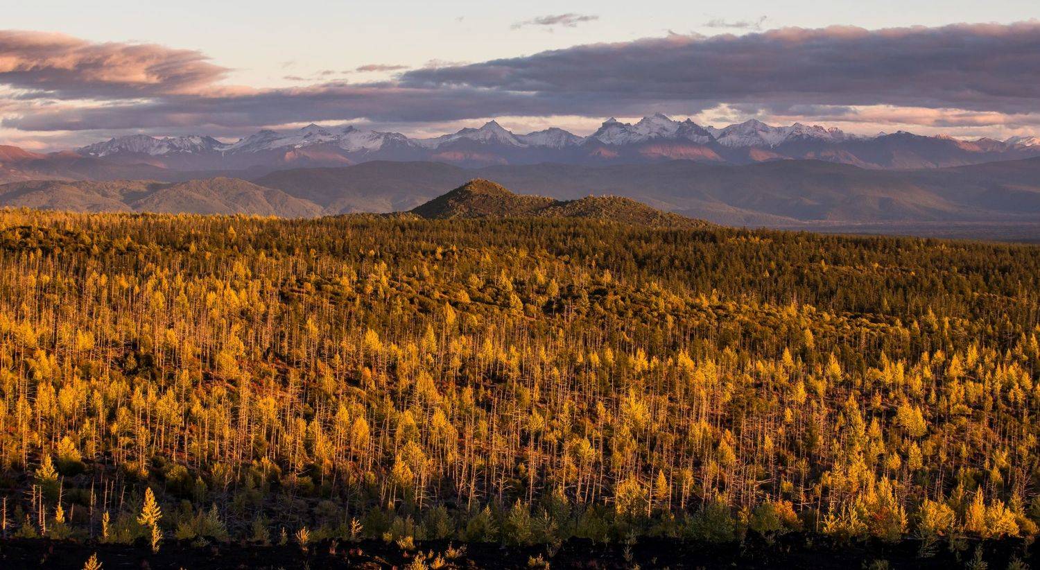 Камчатка, Алексей Мараховец