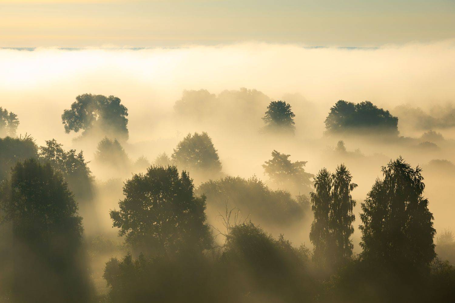 Туман, утро, пейзаж, Барабанов Алексей
