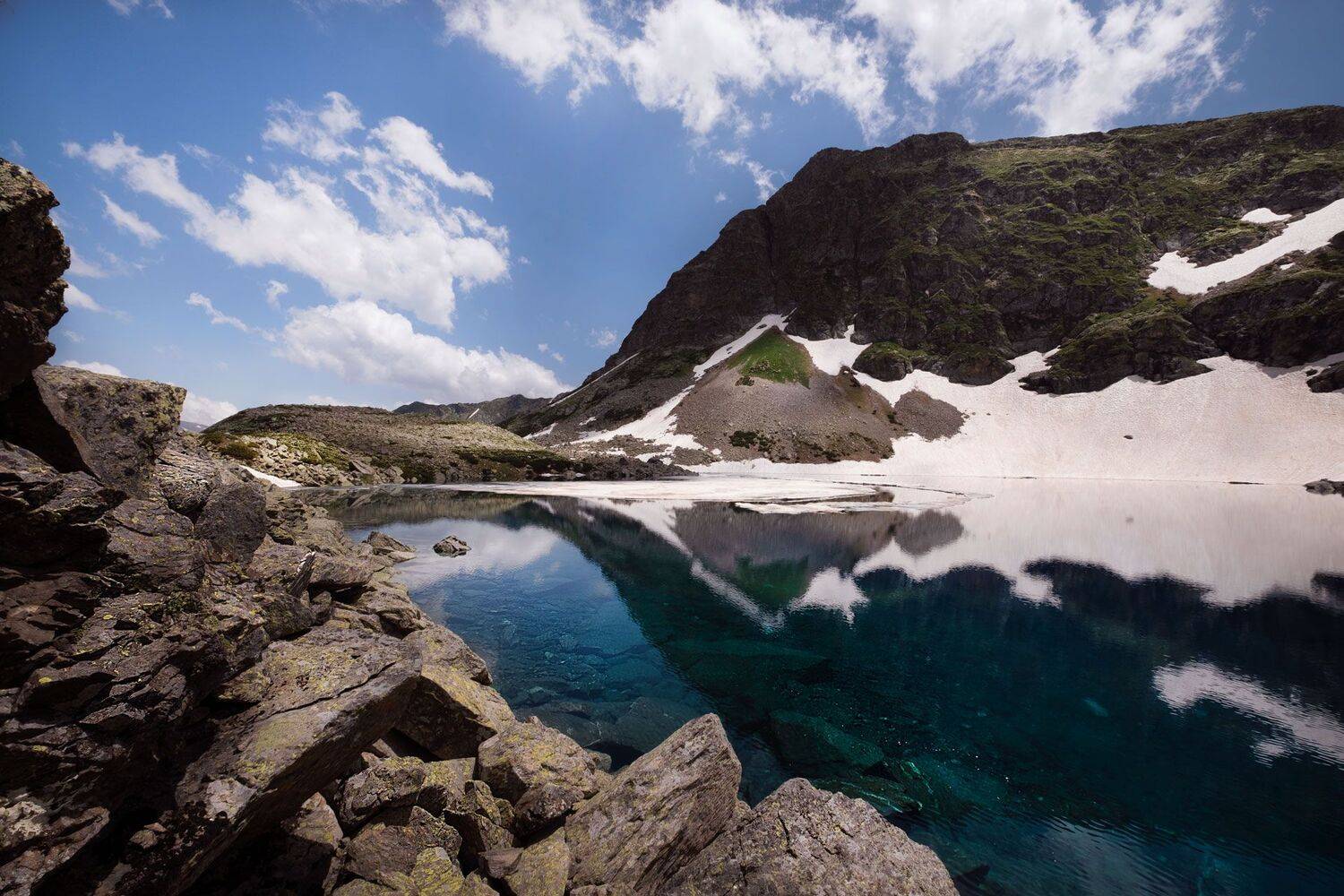 , Роман Грушевский