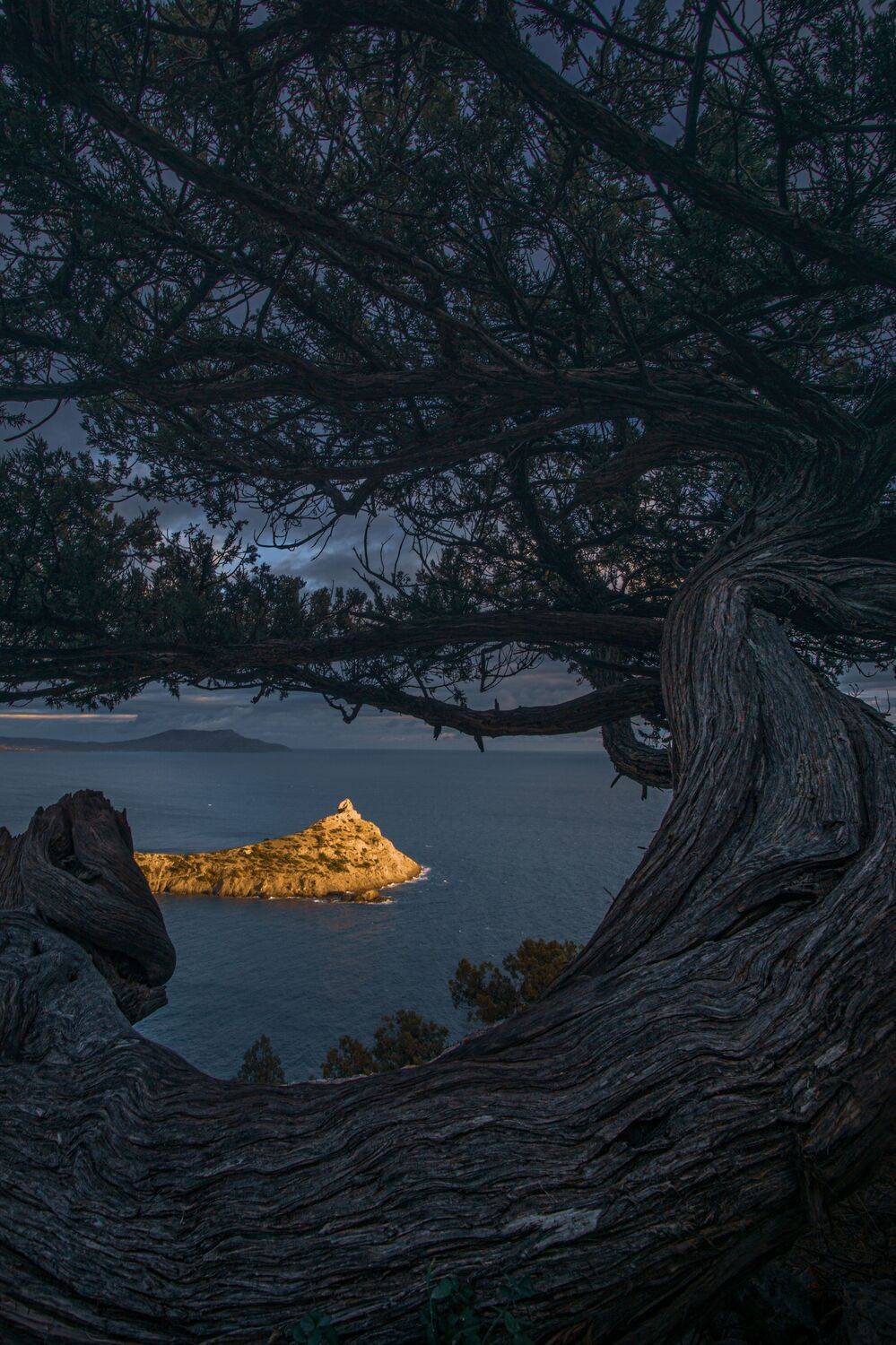 , Андрей Кривцов