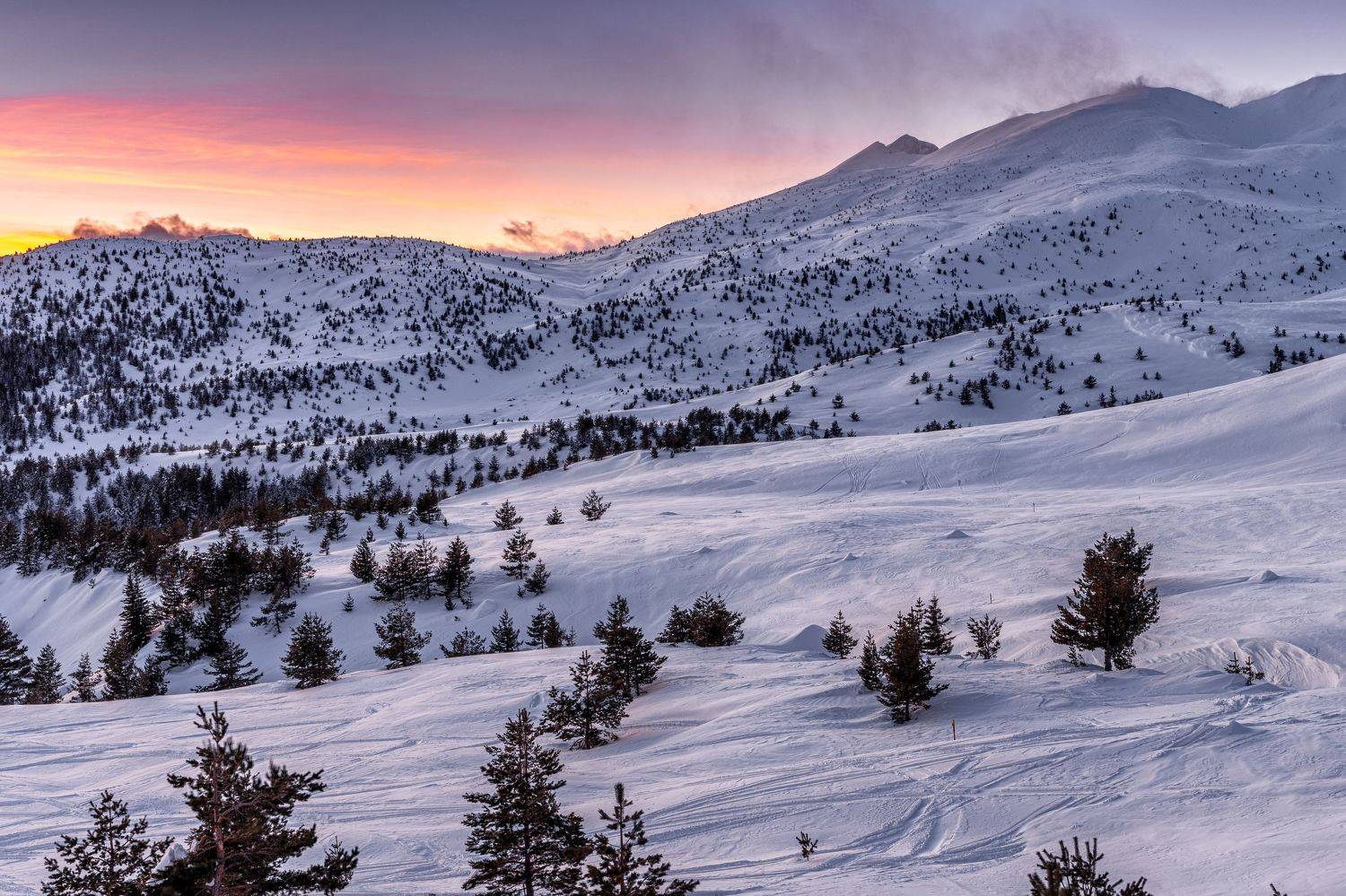 , Пламен Куденко