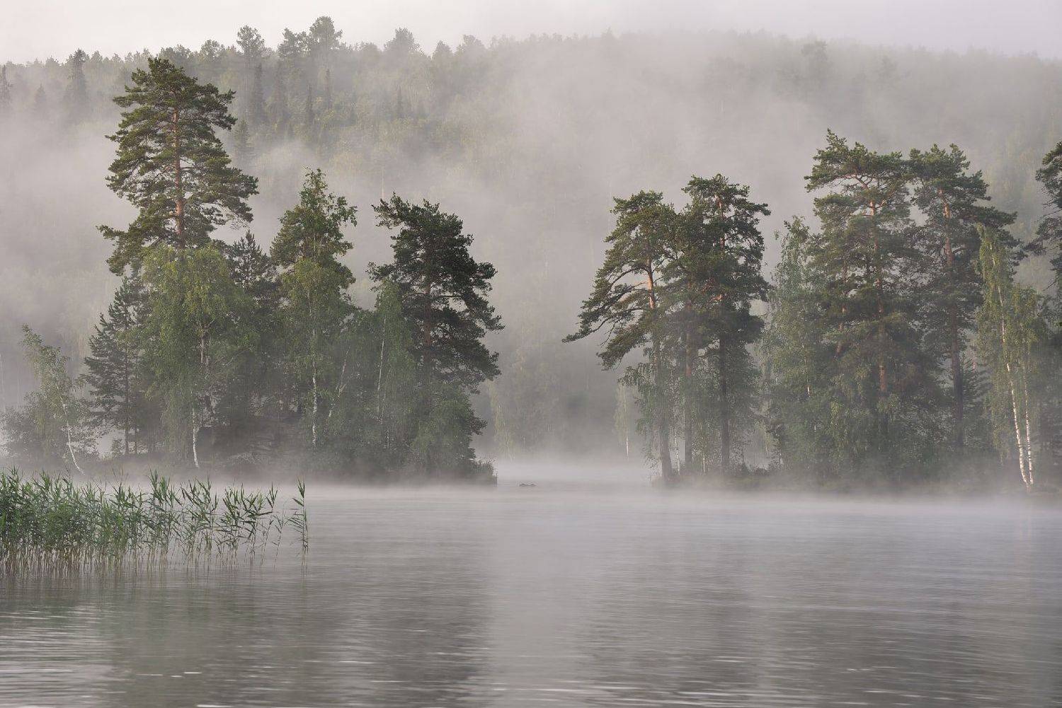 , Максим Ватрушкин