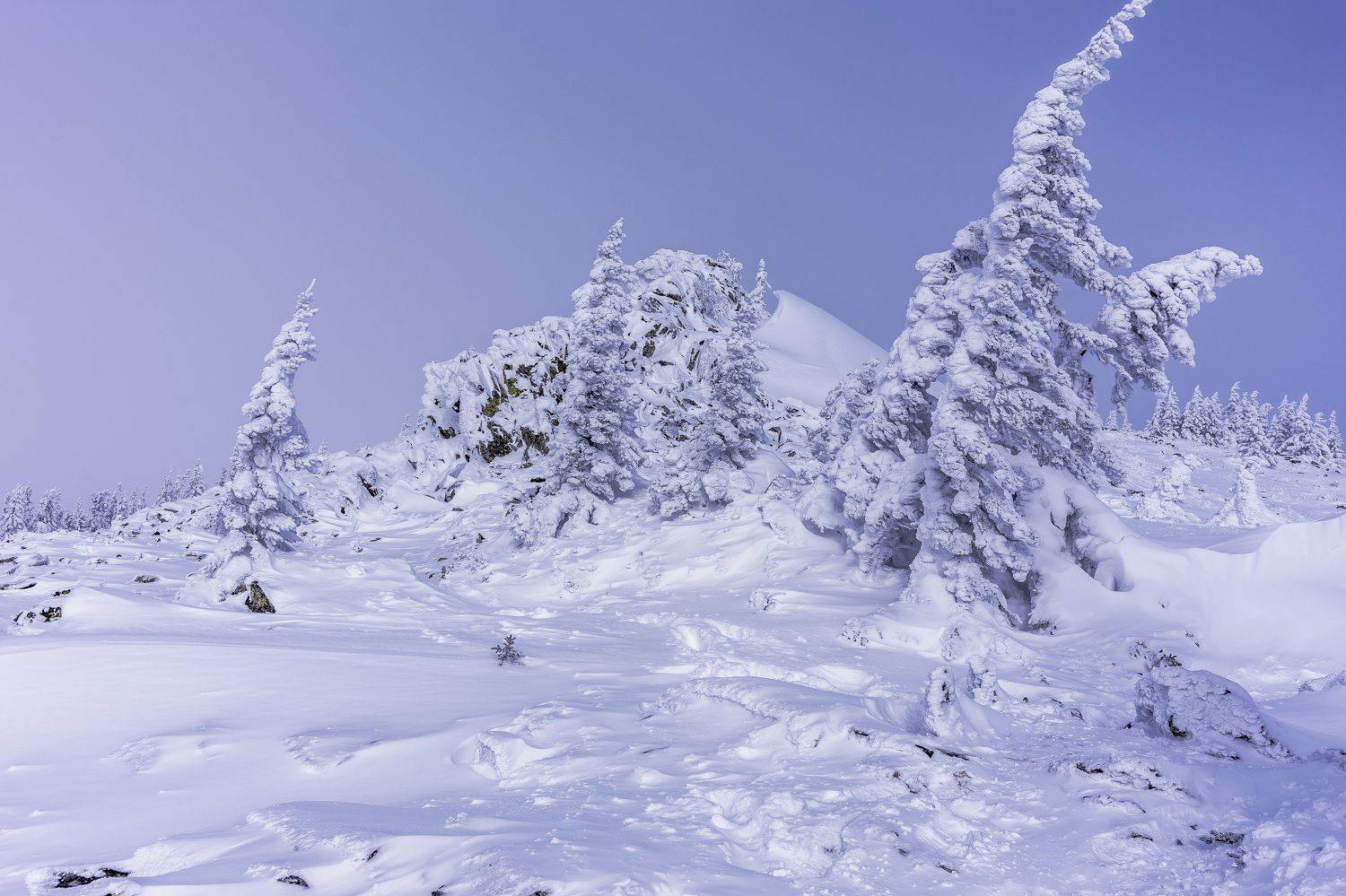 , Андрей Шарапов