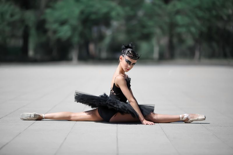 Black swan фото превью