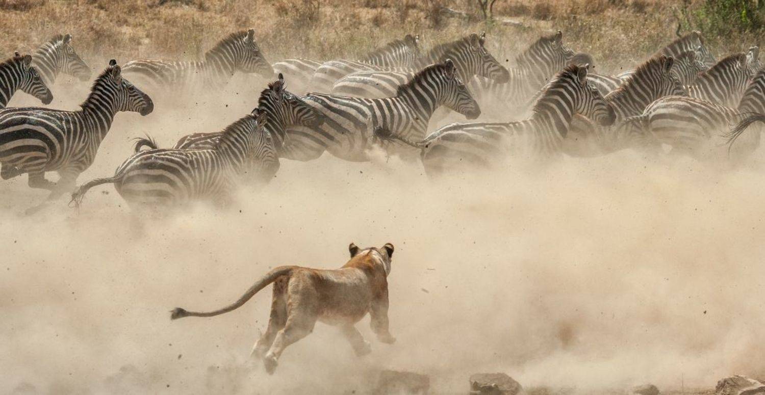 , Андрей Гудков