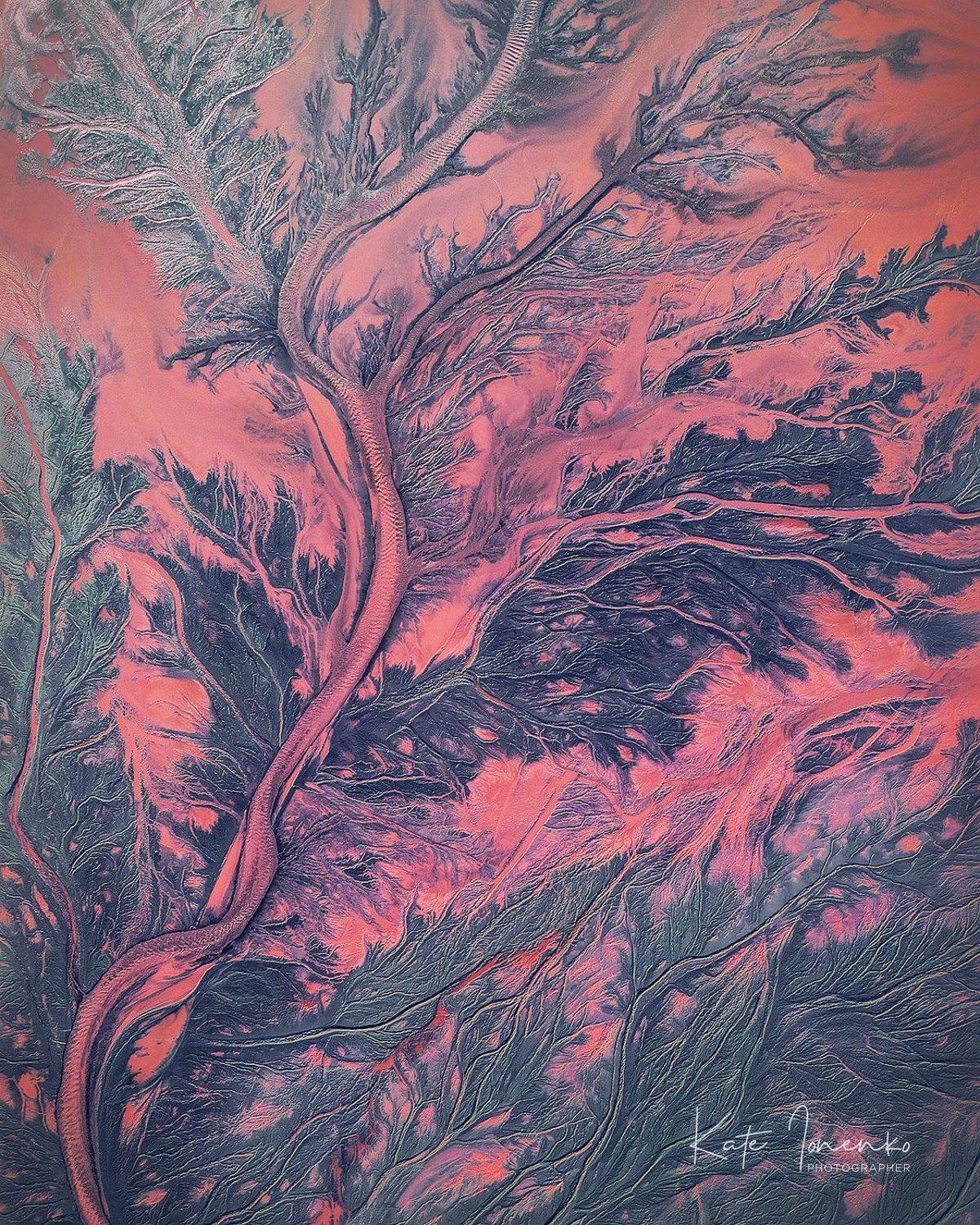 , Екатерина Ионенко