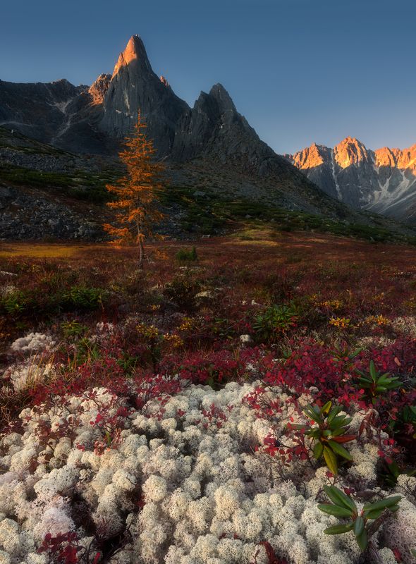 озеро джека лондона У подножия Челленджера фото превью