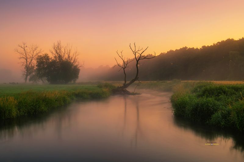 In Kociewie.  фото превью