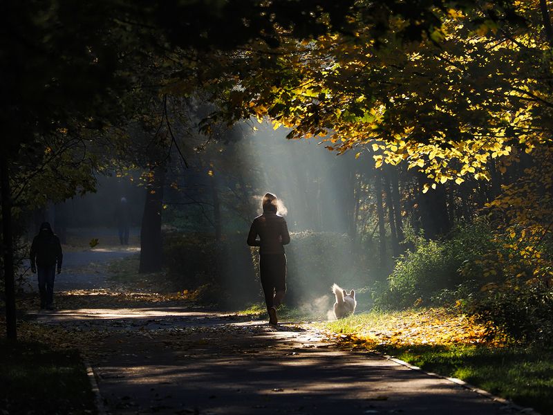 солнечные лучи 2 фото превью