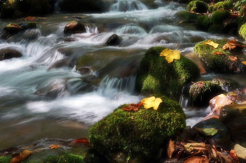 щсень горы ручей. Горный ручей. фото превью