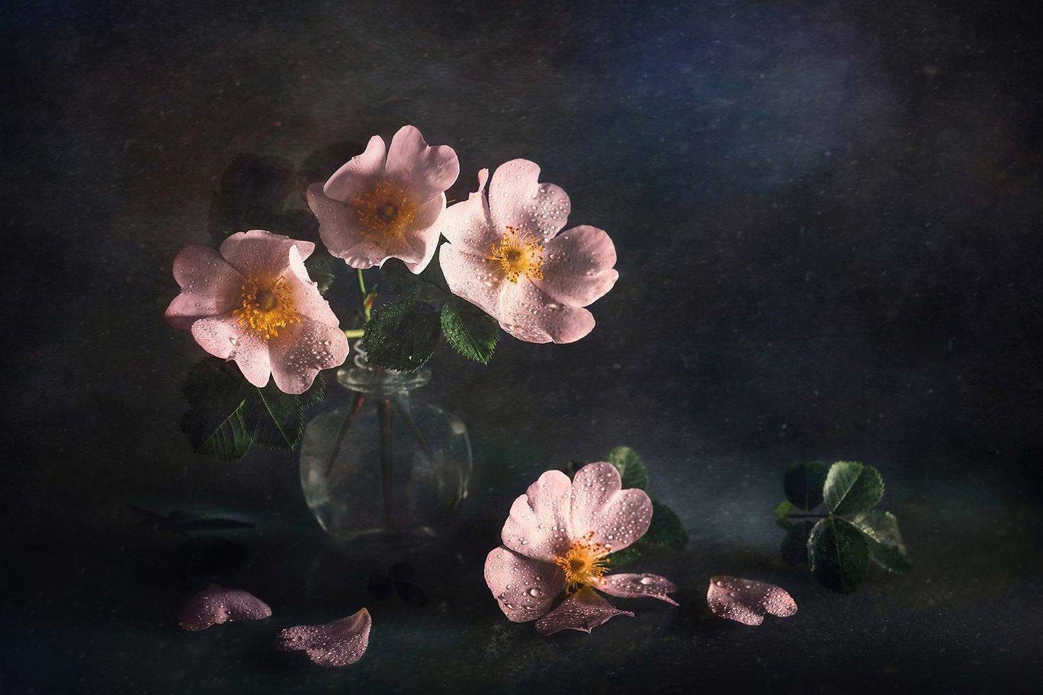 , MVO (Марк Орлов)