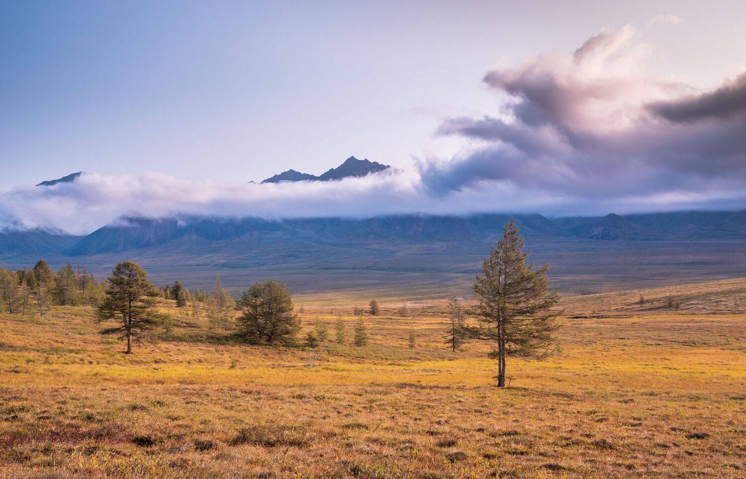 Якутия, Эрекитский хребет, хребет Черского, горы, Evgeniy Khilkevitch