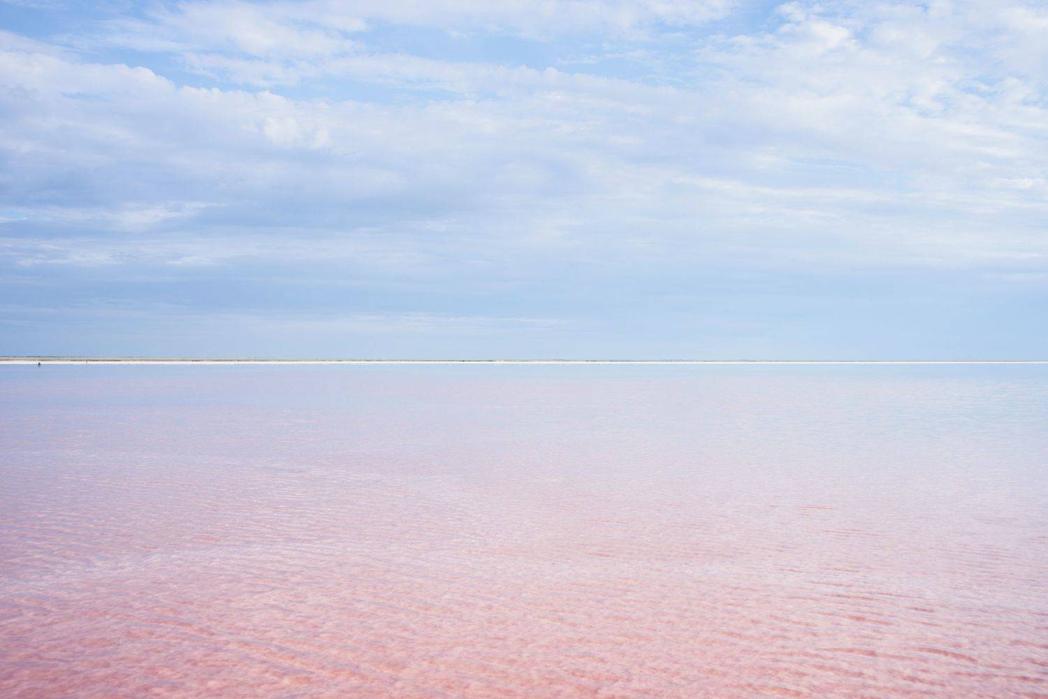 , Ольга Беккер