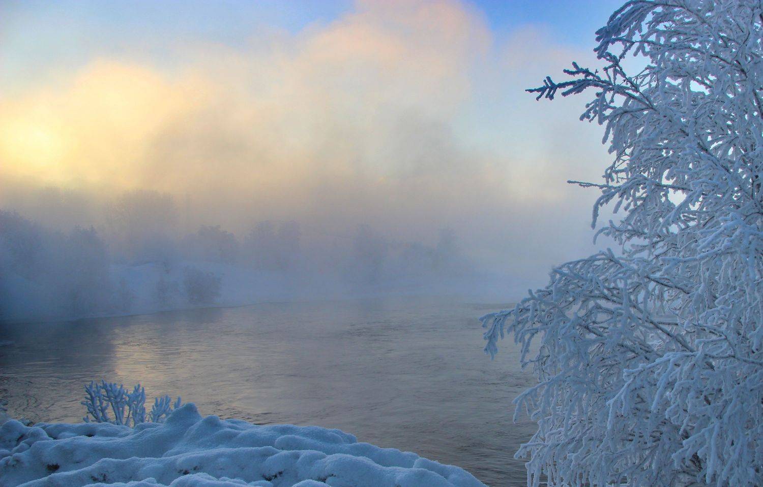 , Александр Коротков