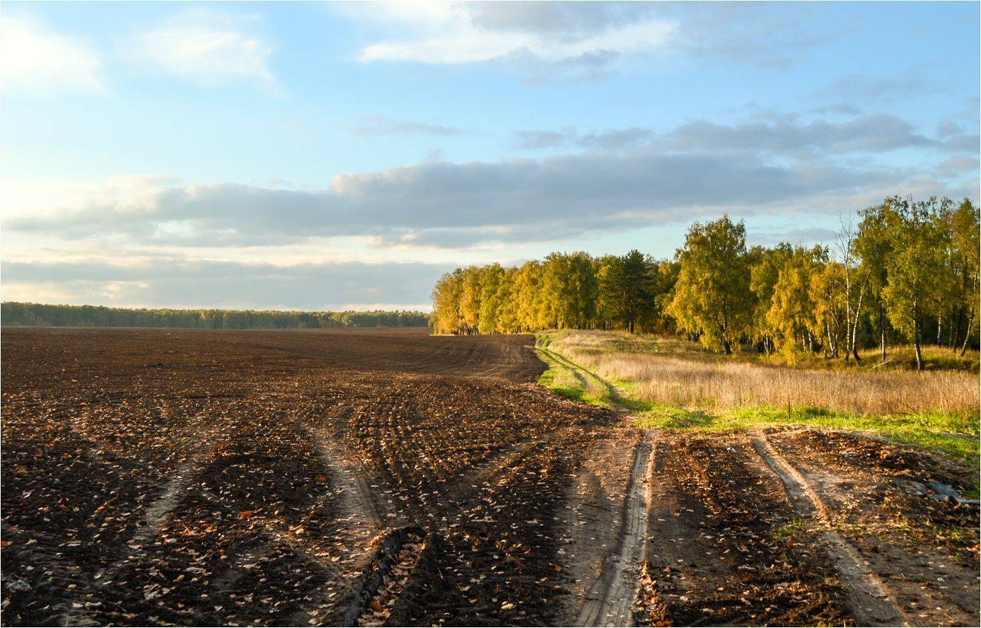 осень, КарОл