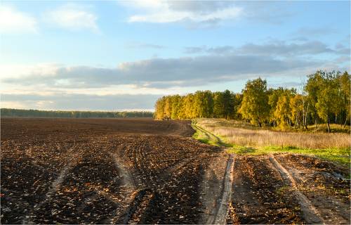 Пашня под озимые