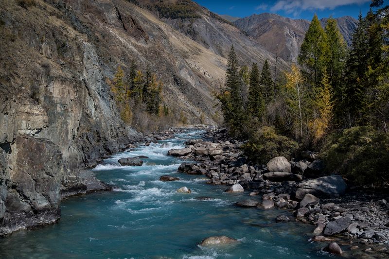 вода, река, алтай, карагем, горы, дерево, пейзаж, природа, нд, фототур на алтай, золотой алтай нд, золотой алтай Живая вода Карагема фото превью