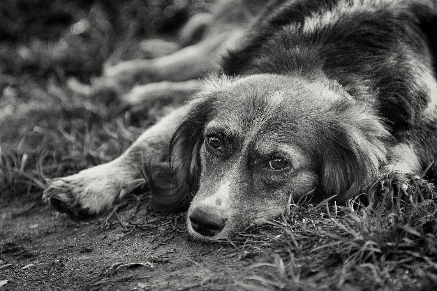 , Сергей Фудиненко