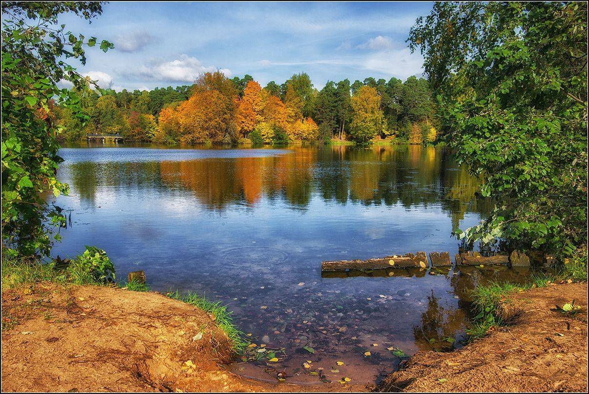 москва, осень, озеро, лес, отражение, АНАТОЛИЙ ДОВЫДЕНКО