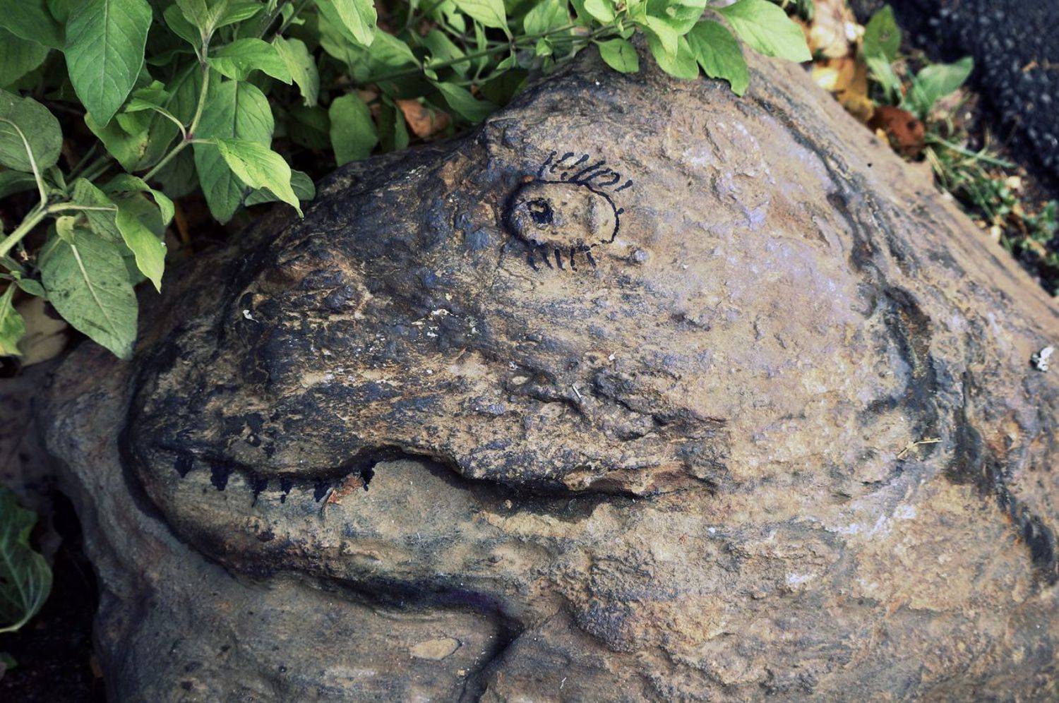 pareidolia, ПОЛУЕВ ИЛЬЯ