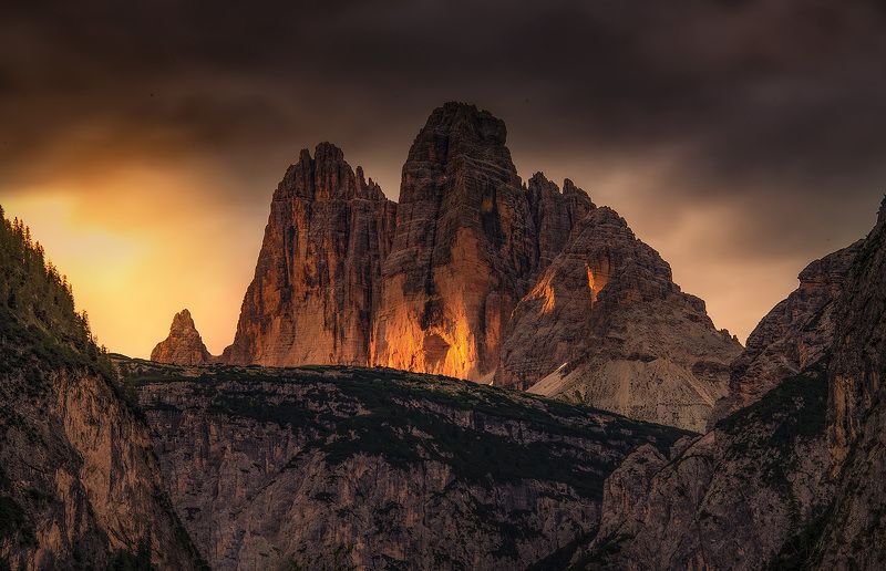 Tree Cime фото превью