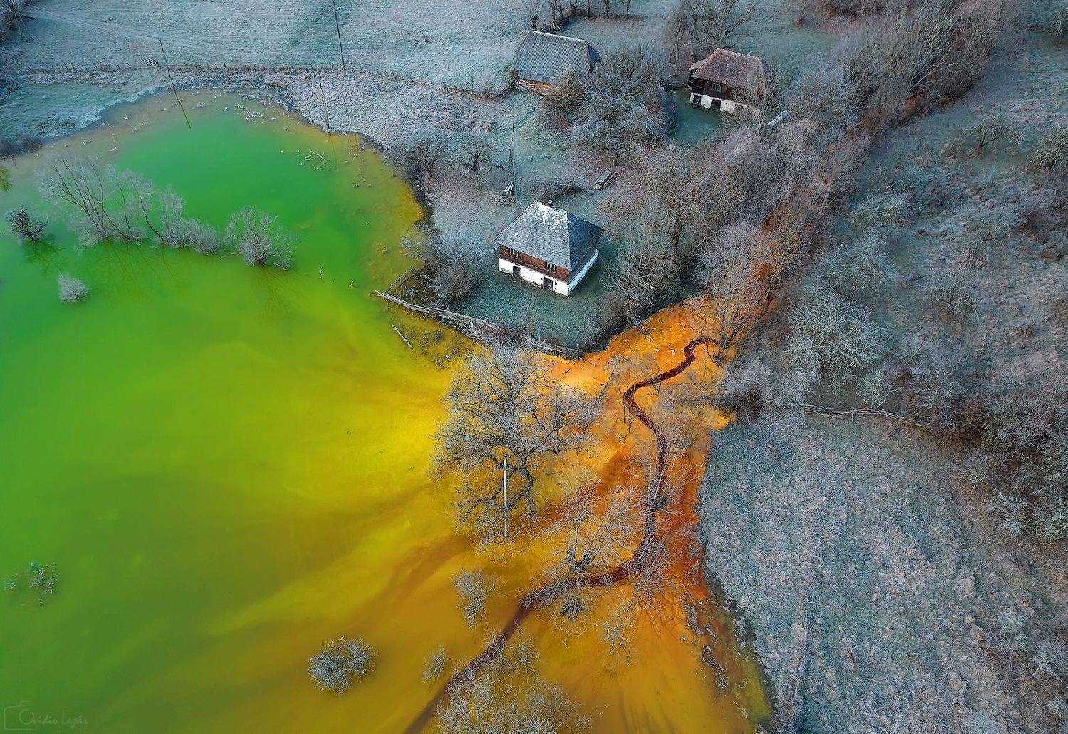 autumn, trees, fog, morning, landscape, travel, nature, mountain, romania, cold, light, lake, Lazar Ioan Ovidiu