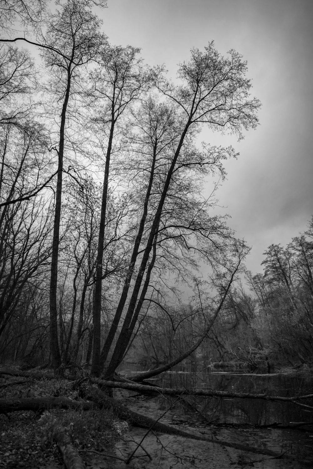 , Чистаев Александр