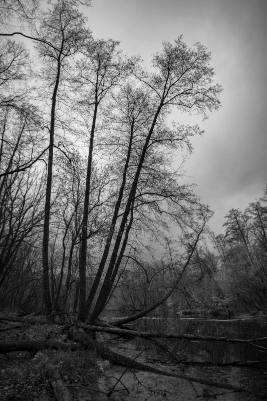 тишина ноября фото превью