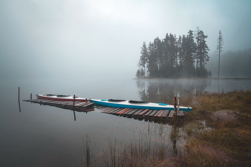 Foggy morning фото превью