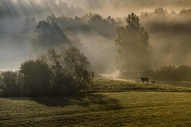 Autumn in the countryside фото превью