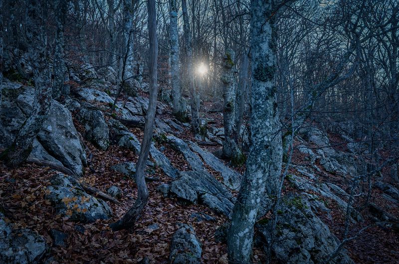 Холодное солнце фото превью