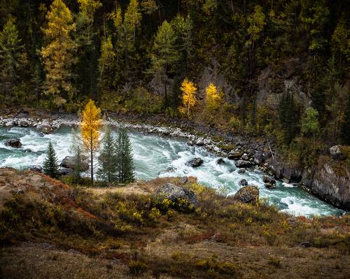 Краски осени