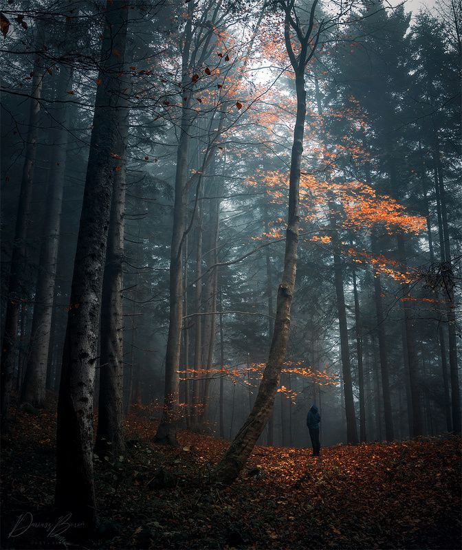 Pieniny Mountains фото превью