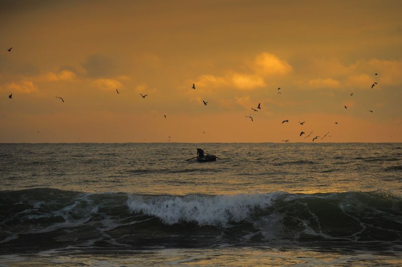 fishing time, landscape, sea, boat, fish, seagull, sunset, horizon, catch, travel, travel photography, photograhpy Fishing time.. фото превью