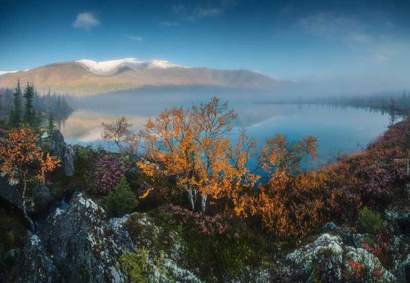 россия, мурманская область, кольский полуостров, ловозеры, заполярье, осень, природа, пейзаж, лесотундра, осень, рассвет, отражение, озеро, туман Туманное Заполярье фото превью