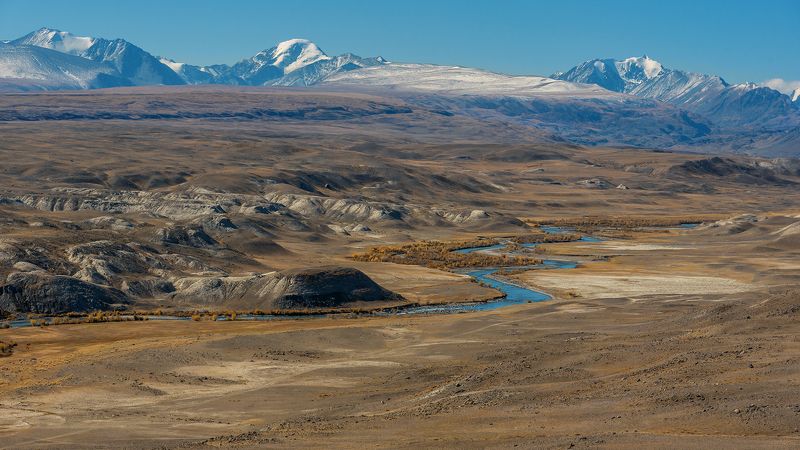 алтай, республика алтай, чаганузун, река, чуйская степь, полупустыня, тополя, осень Pro магию долины Чаганузуна фото превью