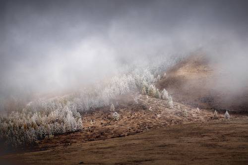 Про белых ходоков..