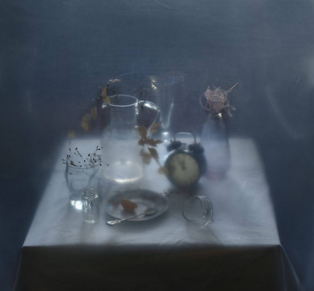 , Шипунова Ирина