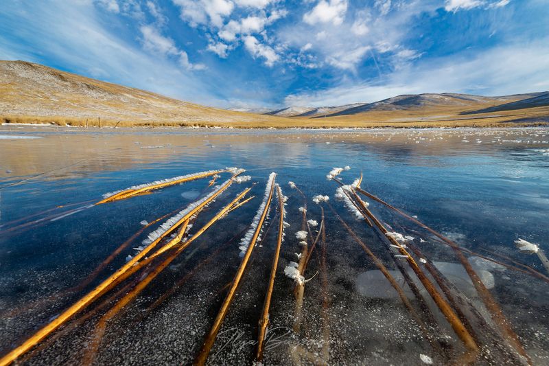 Байкал. Самый первый лёд. фото превью