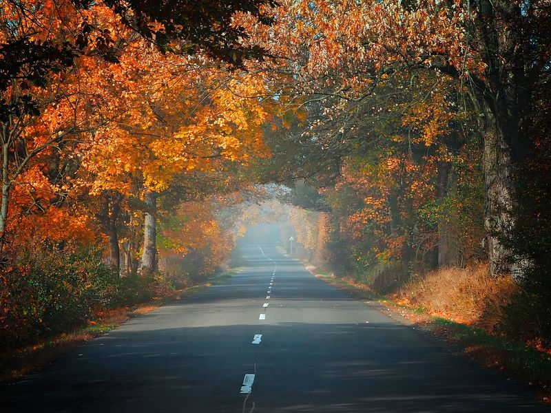 Country road фото превью