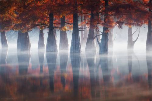 Магия рассвета