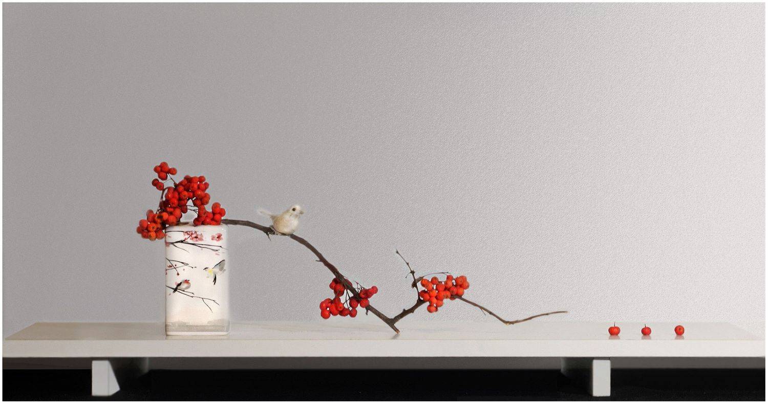 , Ольга Заболотская