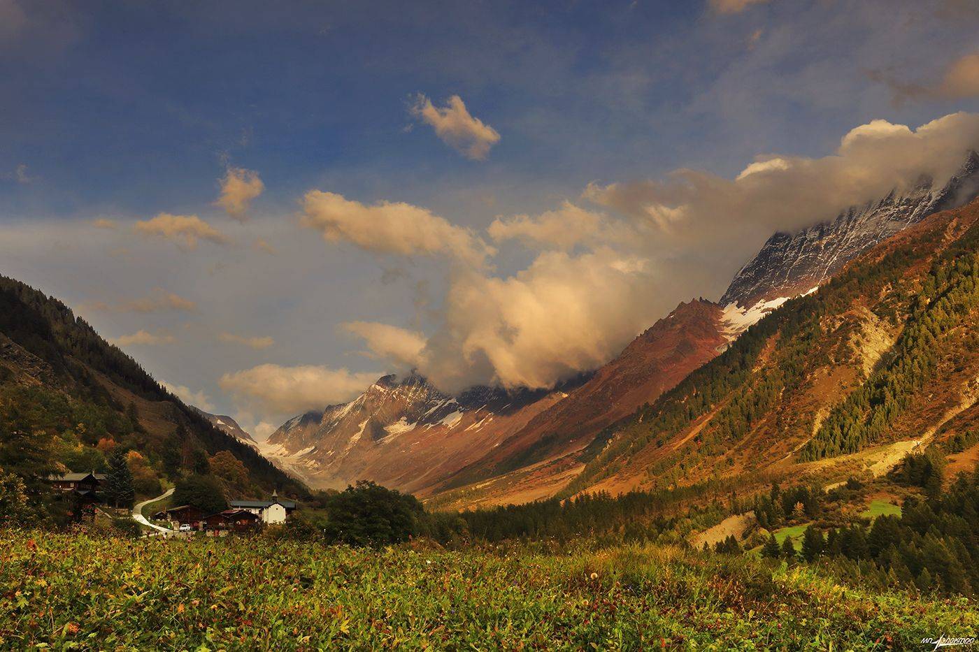 swiss, Матвеев Николай