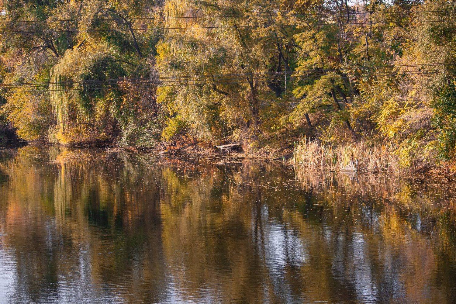 , Алёна Данильчук
