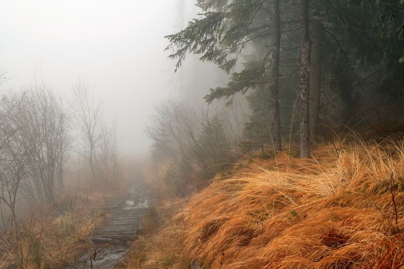 Ноябрь 2021 фото превью